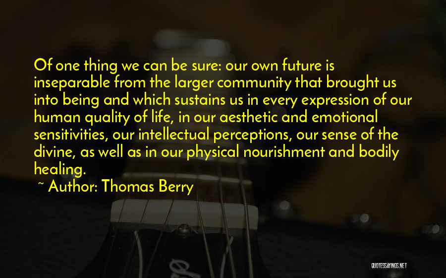 Being Inseparable Quotes By Thomas Berry