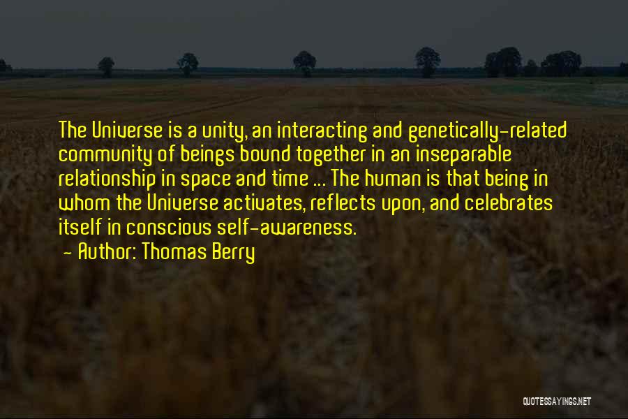 Being Inseparable Quotes By Thomas Berry