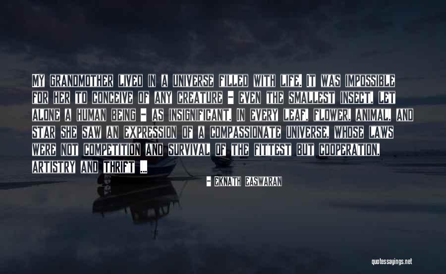 Being Insignificant Quotes By Eknath Easwaran Being Insignificant Quotes By Eknath Easwaran