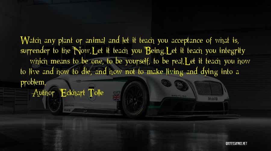 Being Integrity Quotes By Eckhart Tolle