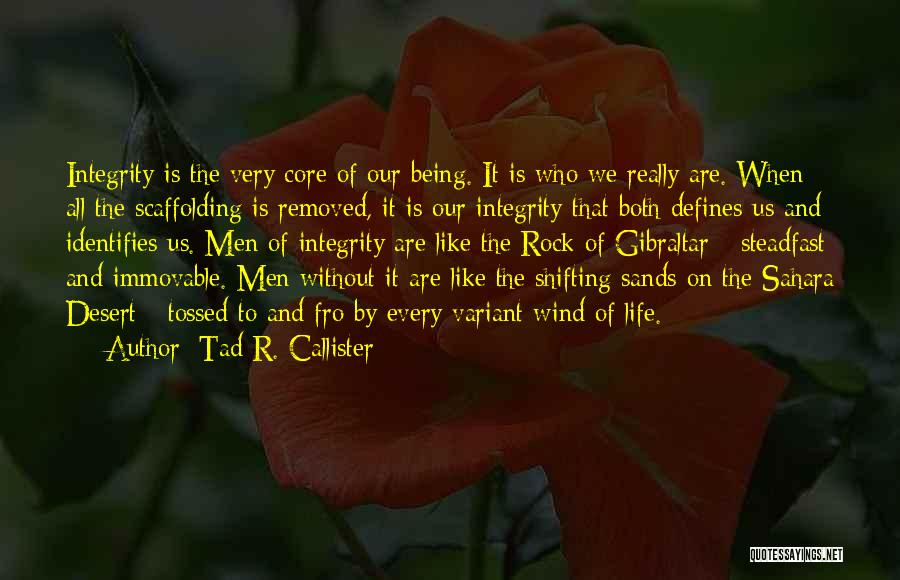 Being Integrity Quotes By Tad R. Callister