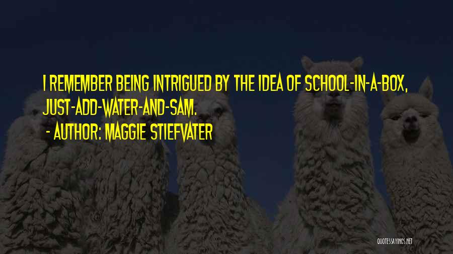Being Intrigued By Someone Quotes By Maggie Stiefvater