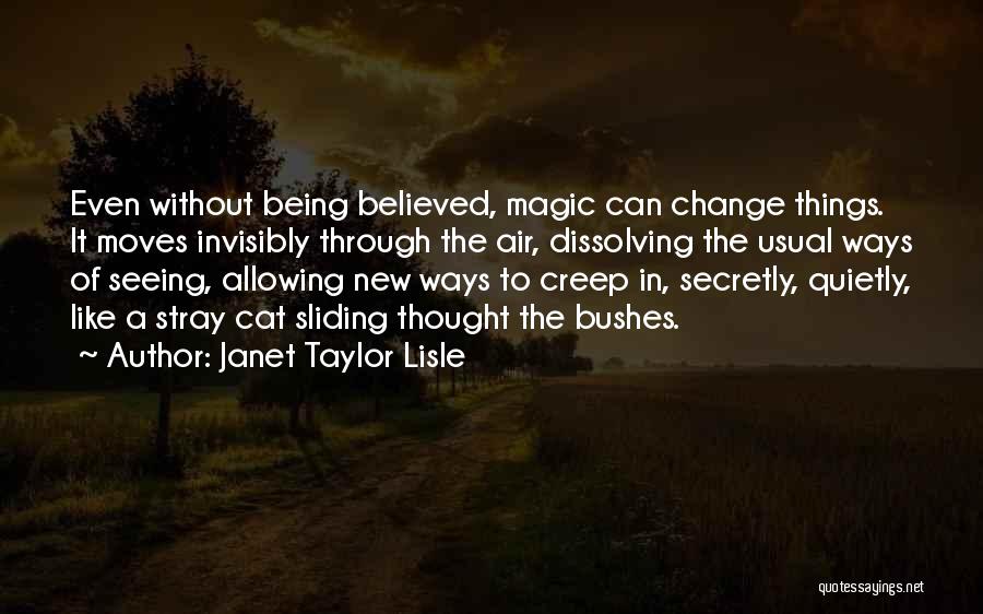 Being Invisible Quotes By Janet Taylor Lisle