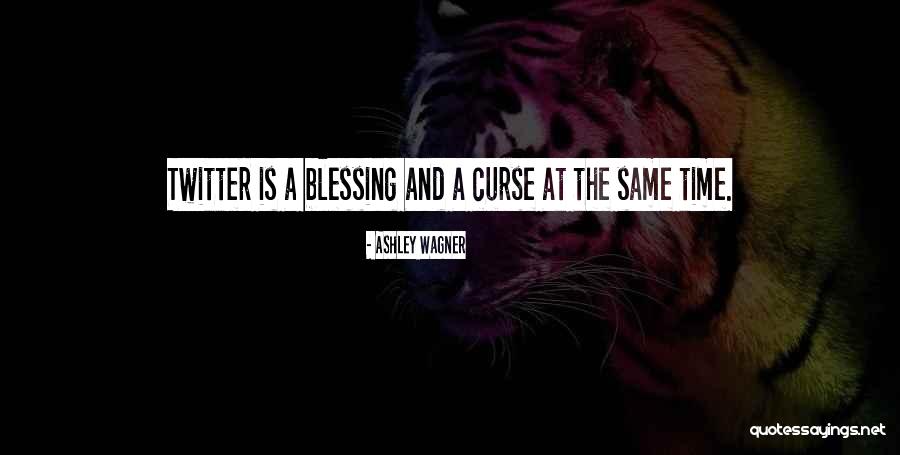 Being Italian American Quotes By Ashley Wagner Being Italian American Quotes By Ashley Wagner