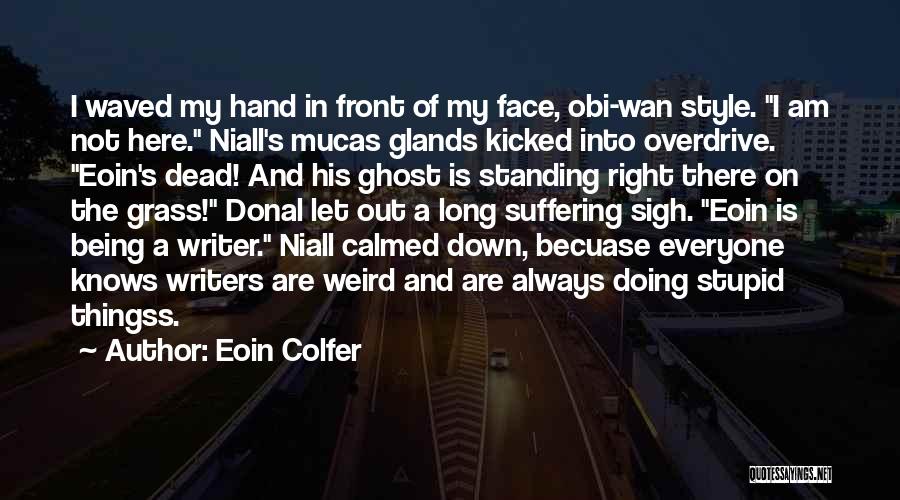 Being Kicked When You're Down Quotes By Eoin Colfer