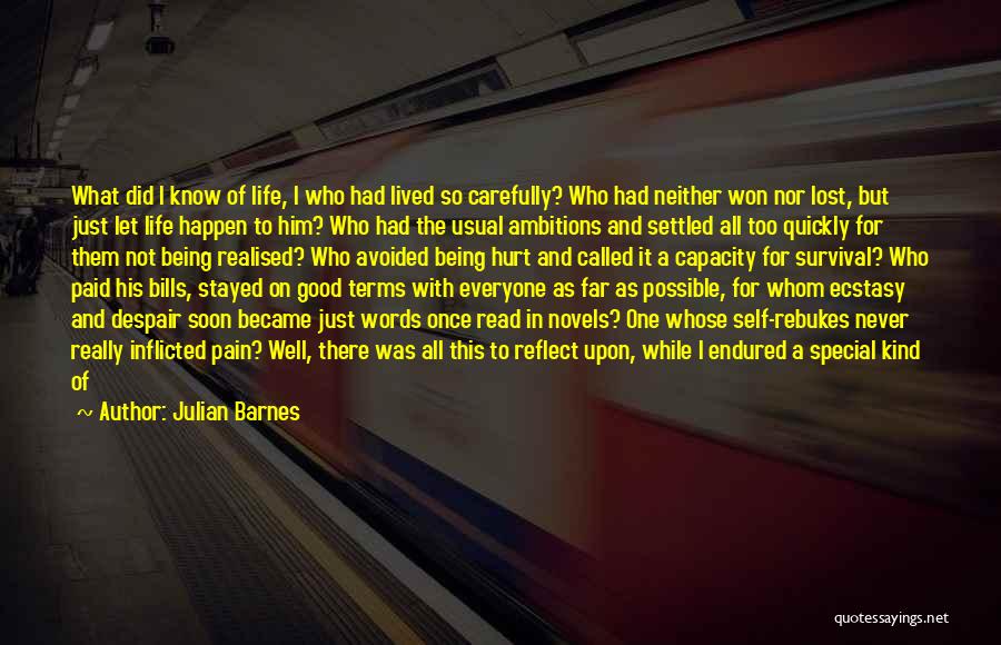 Being Kind With Words Quotes By Julian Barnes