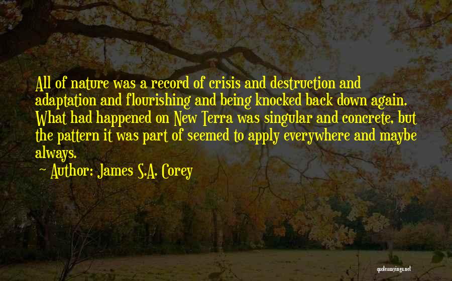 Being Let Down Over And Over Again Quotes By James S.A. Corey