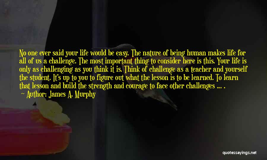 Being Life Lessons Quotes By James A. Murphy