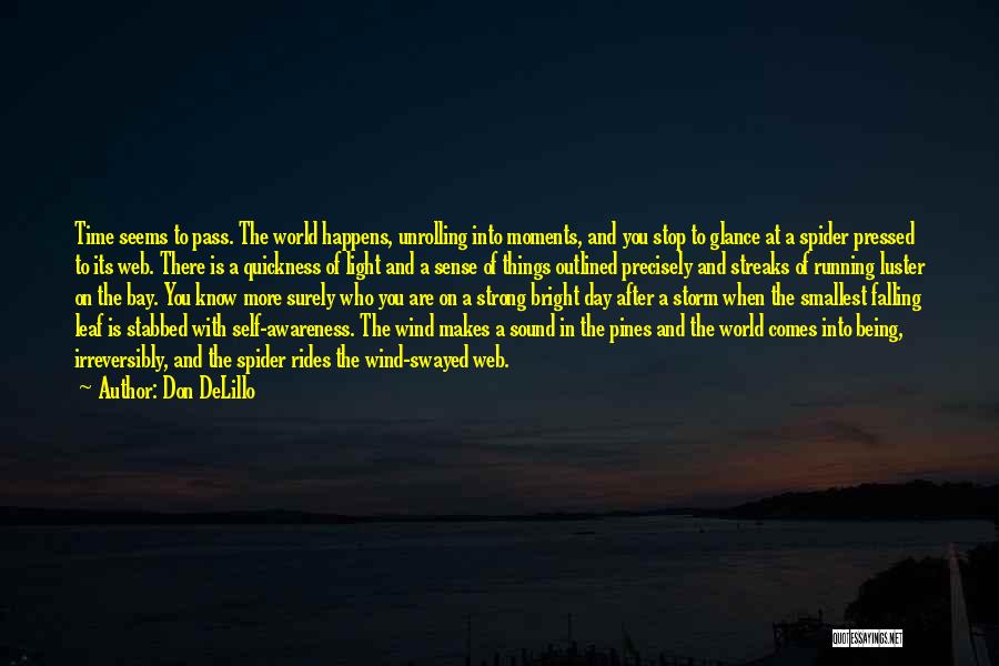 Being Light Of The World Quotes By Don DeLillo
