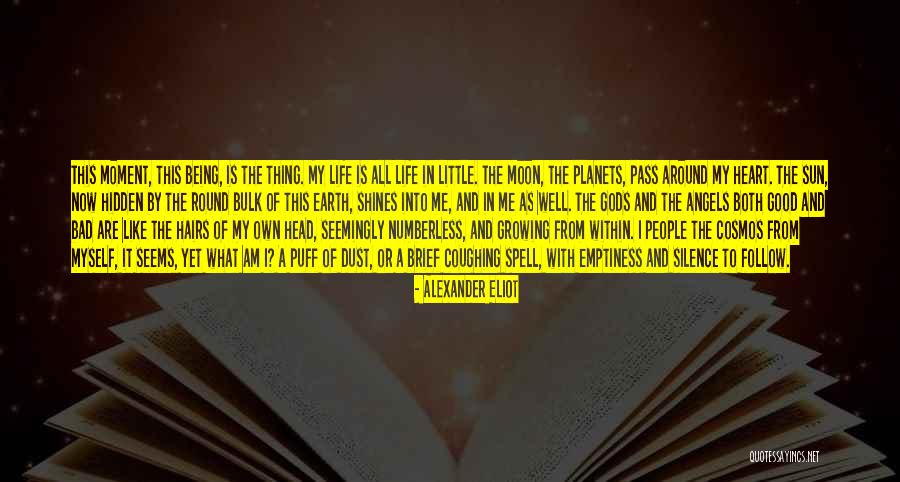 Being Like The Moon Quotes By Alexander Eliot