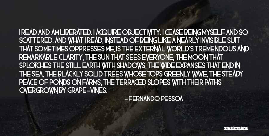 Being Like The Moon Quotes By Fernando Pessoa