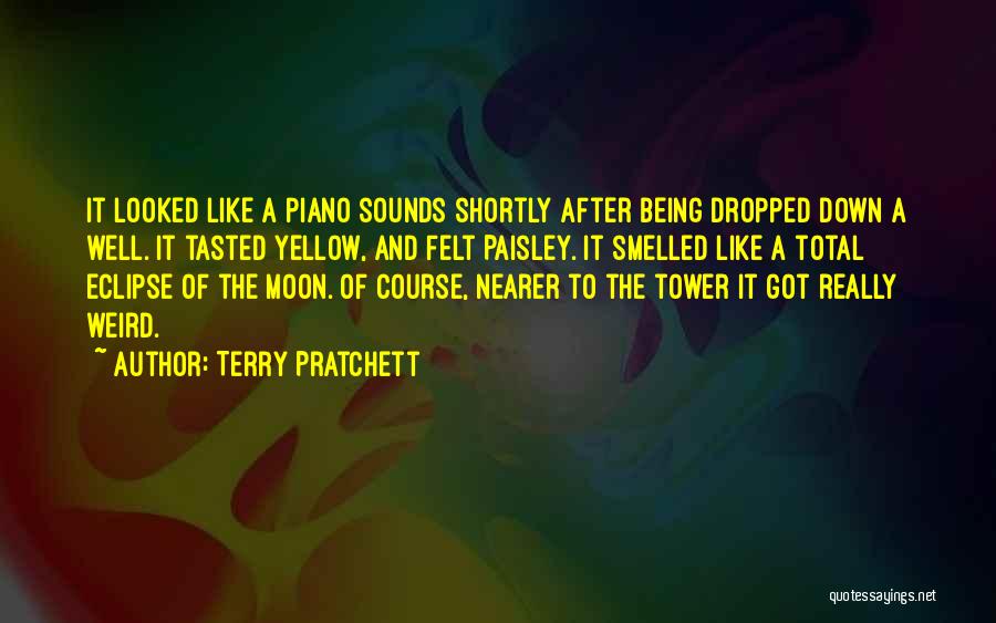 Being Like The Moon Quotes By Terry Pratchett