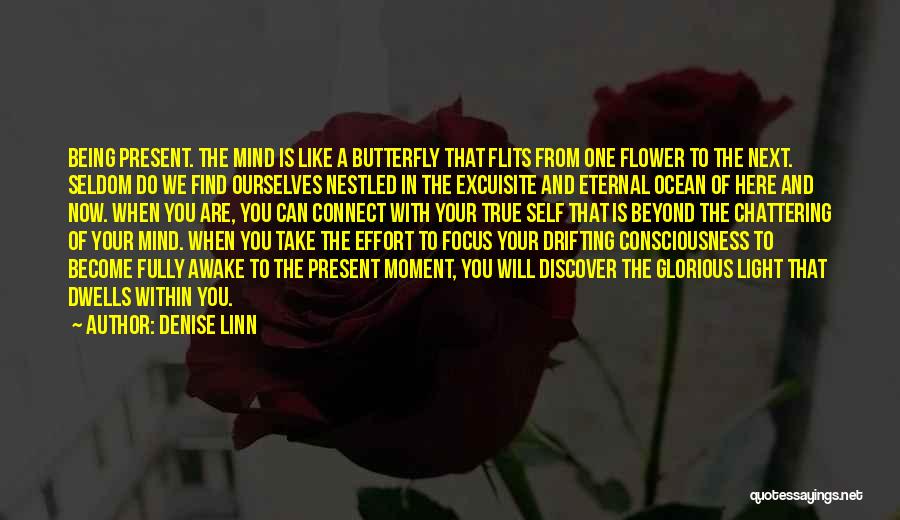 Being Like The Ocean Quotes By Denise Linn