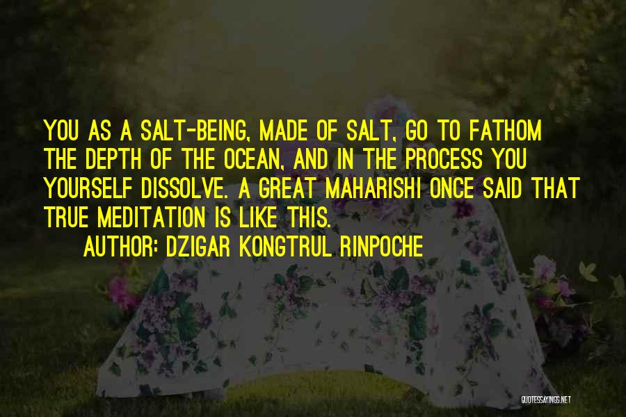 Being Like The Ocean Quotes By Dzigar Kongtrul Rinpoche