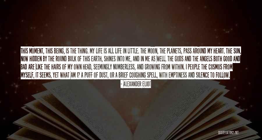 Being Little And Growing Up Quotes By Alexander Eliot