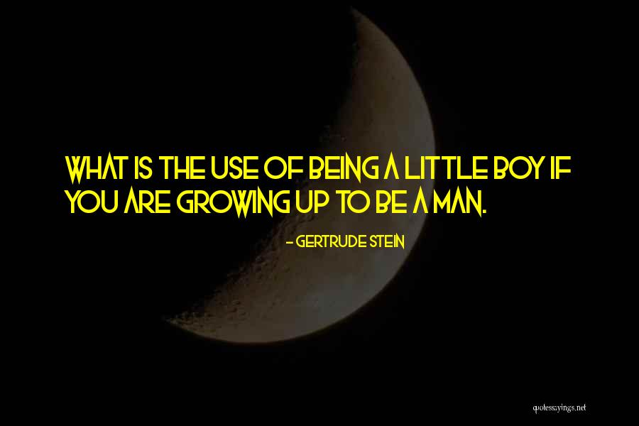 Being Little And Growing Up Quotes By Gertrude Stein