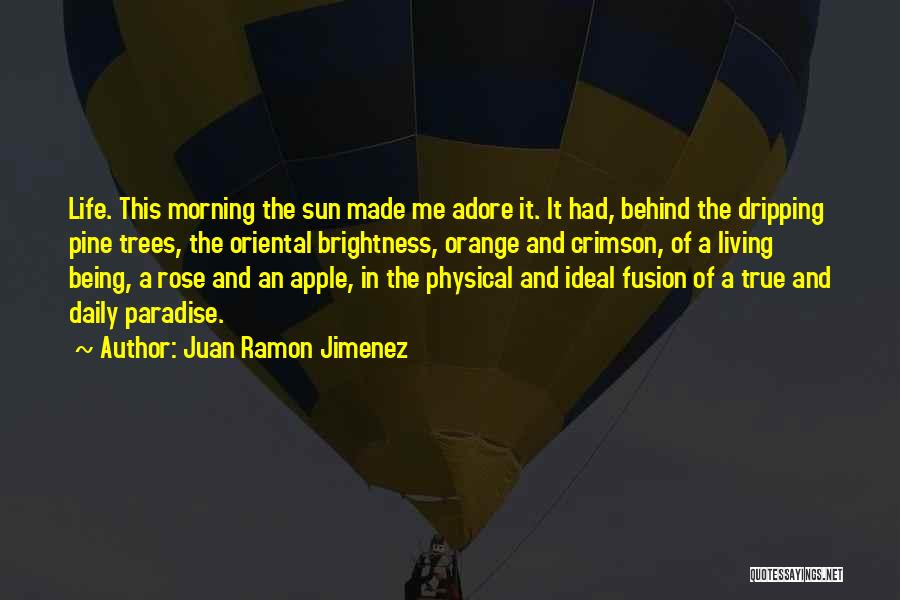 Being Living Life Quotes By Juan Ramon Jimenez