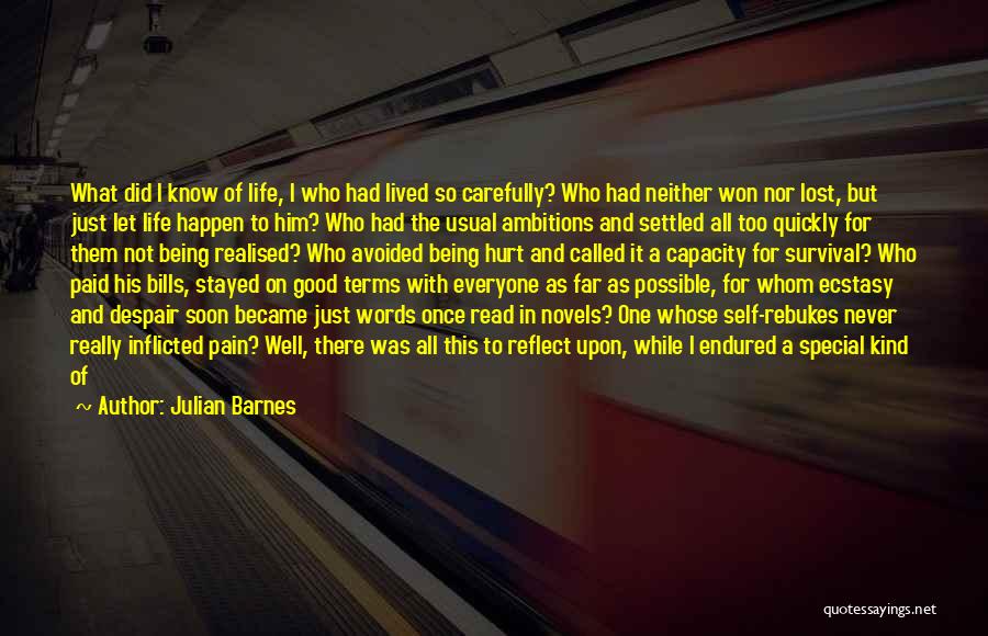 Being Lost For Words Quotes By Julian Barnes