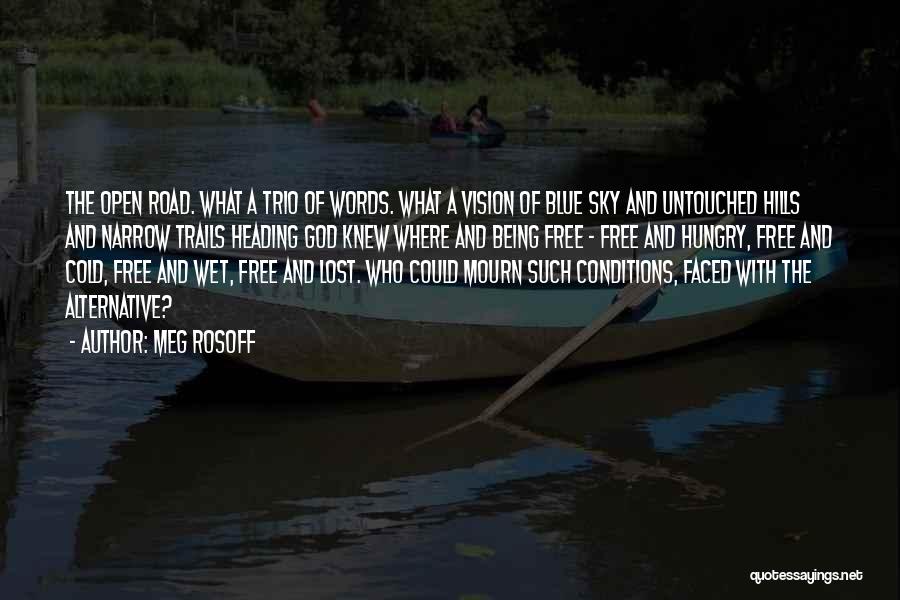 Being Lost For Words Quotes By Meg Rosoff