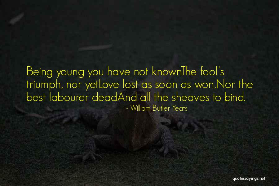 Being Lost In Life And Love Quotes By William Butler Yeats