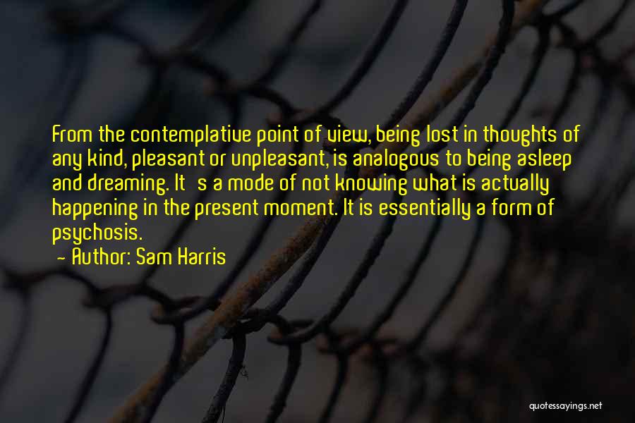 Being Lost In Your Thoughts Quotes By Sam Harris