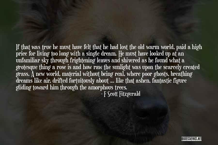 Being Lost Quotes By F Scott Fitzgerald Being Lost Quotes By F Scott Fitzgerald