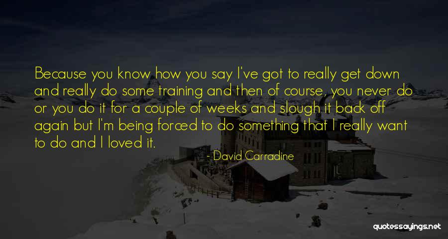 Being Loved Again Quotes By David Carradine