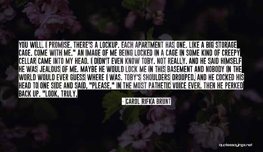 Being Lured Quotes By Carol Rifka Brunt