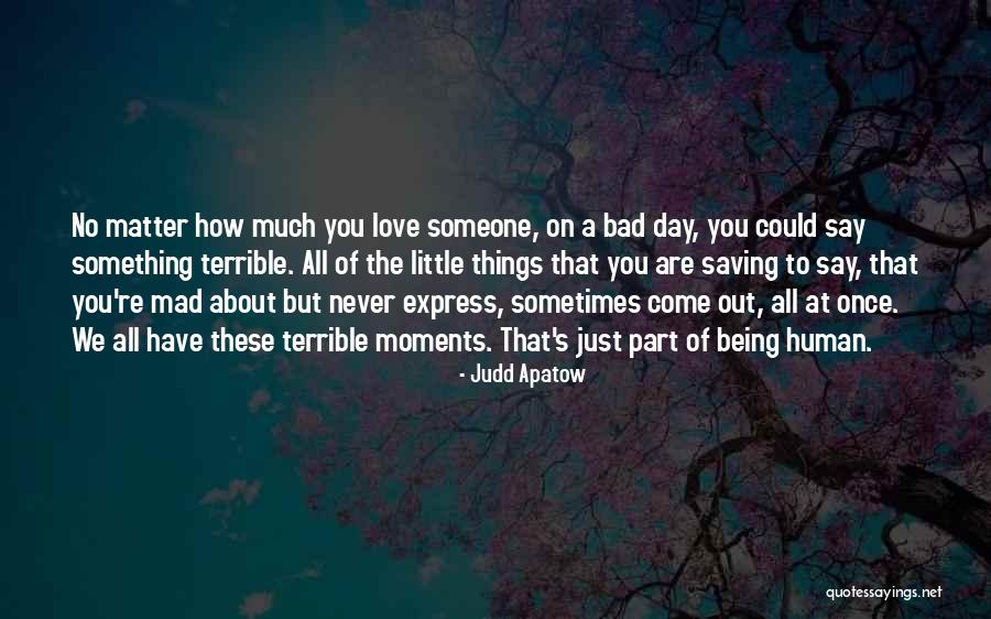 Being Mad Love Quotes By Judd Apatow