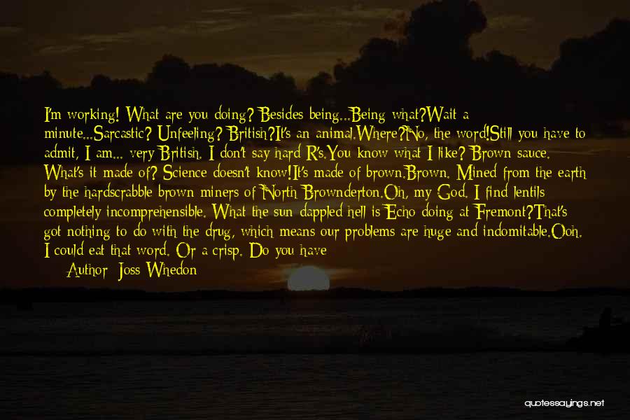 Being Made By God Quotes By Joss Whedon