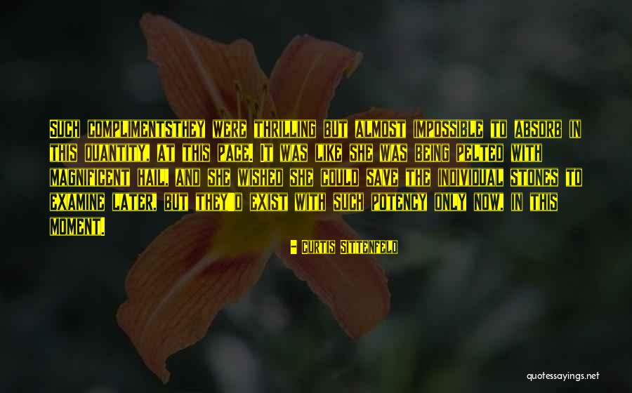 Being Magnificent Quotes By Curtis Sittenfeld Being Magnificent Quotes By Curtis Sittenfeld