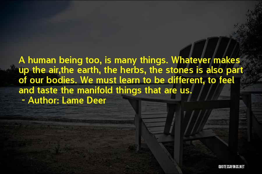 Being Many Things Quotes By Lame Deer