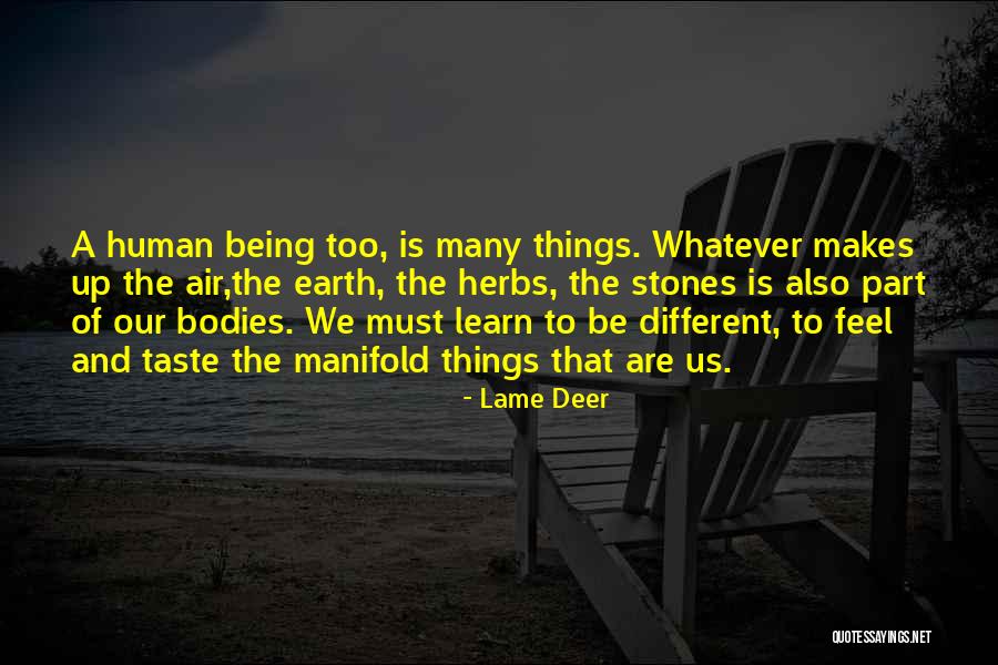 Being Many Things Quotes By Lame Deer