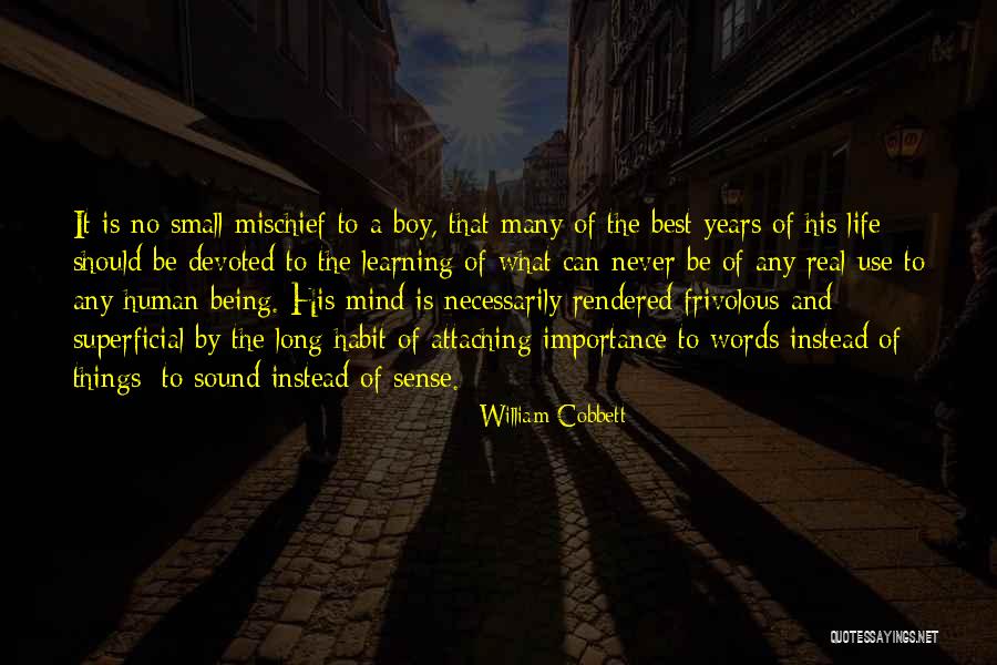 Being Many Things Quotes By William Cobbett