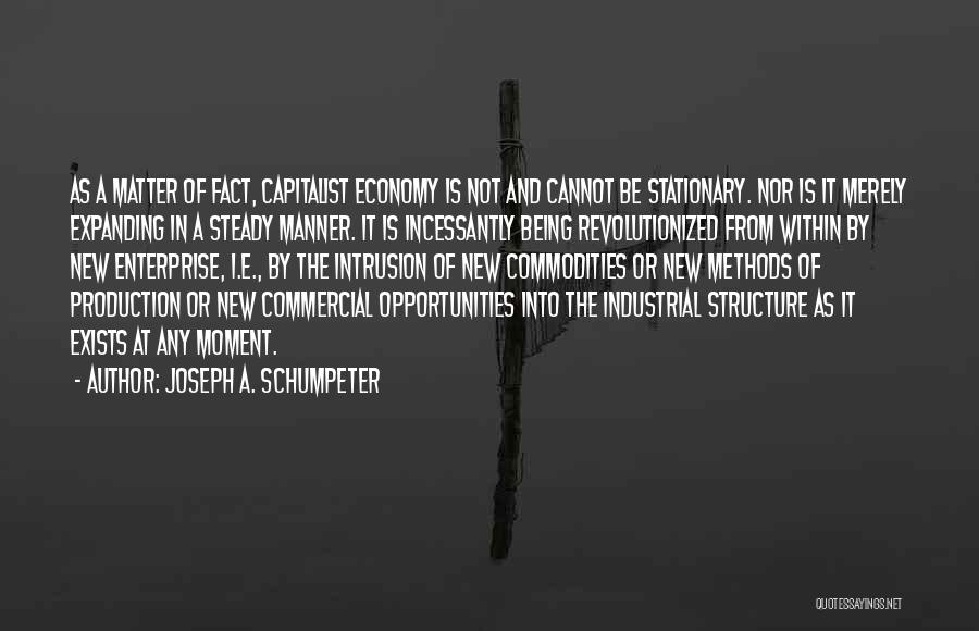 Being Matter Of Fact Quotes By Joseph A. Schumpeter