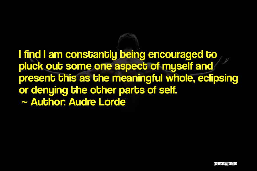 Being Meaningful Quotes By Audre Lorde