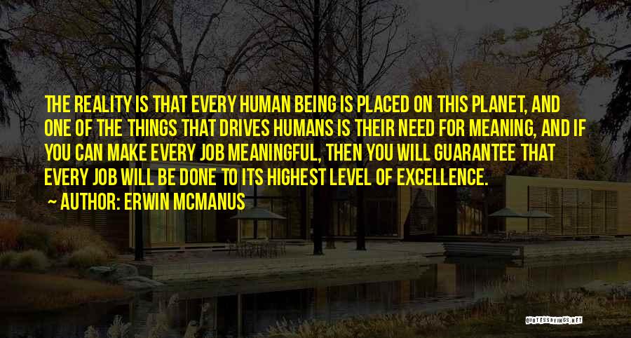 Being Meaningful Quotes By Erwin McManus