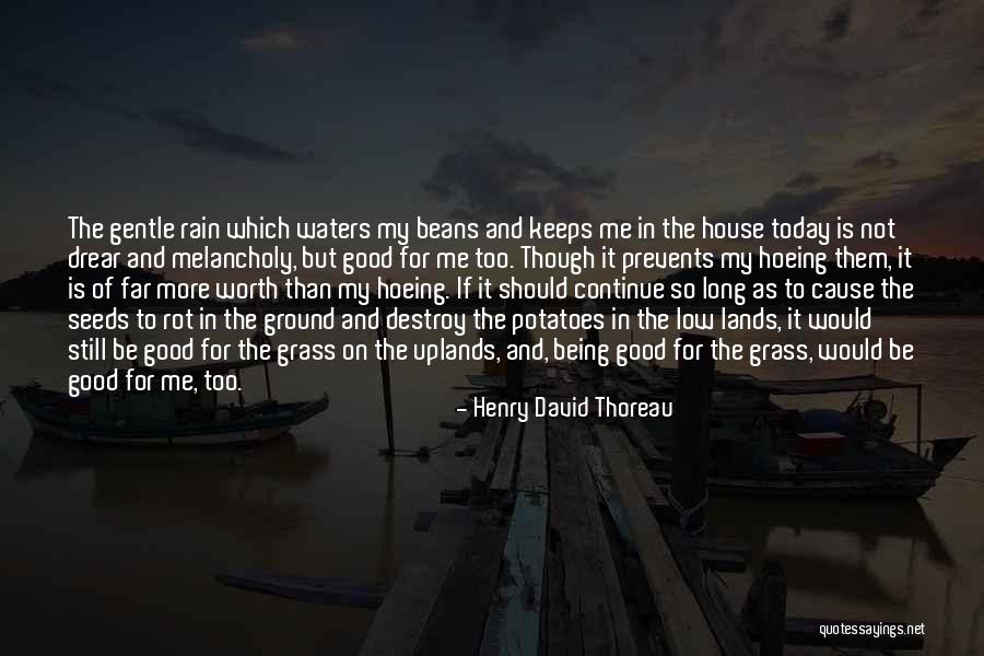 Being Melancholy Quotes By Henry David Thoreau Being Melancholy Quotes By Henry David Thoreau