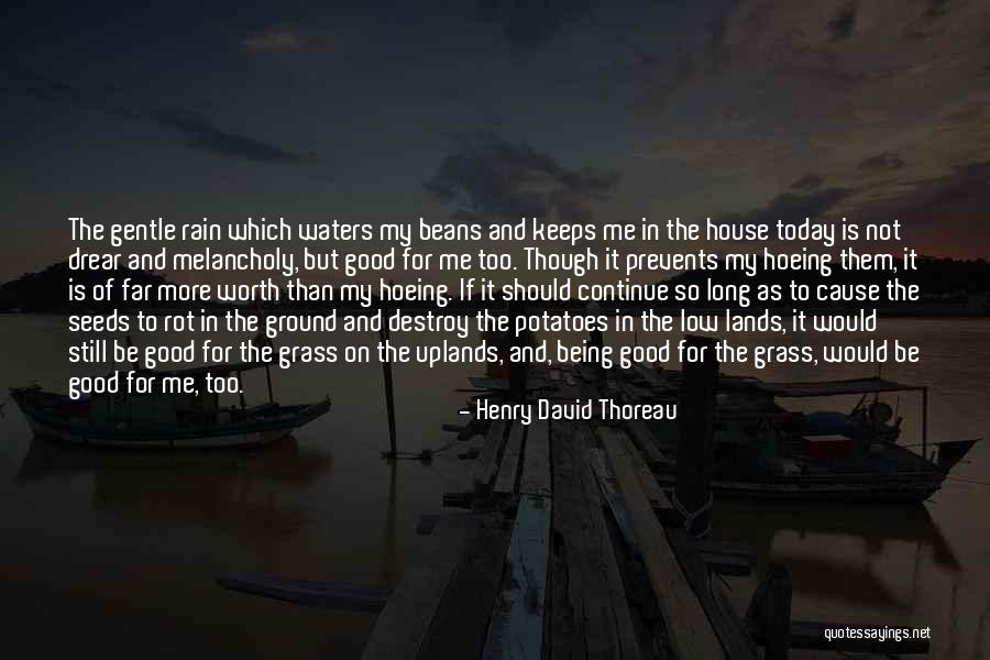 Being Melancholy Quotes By Henry David Thoreau