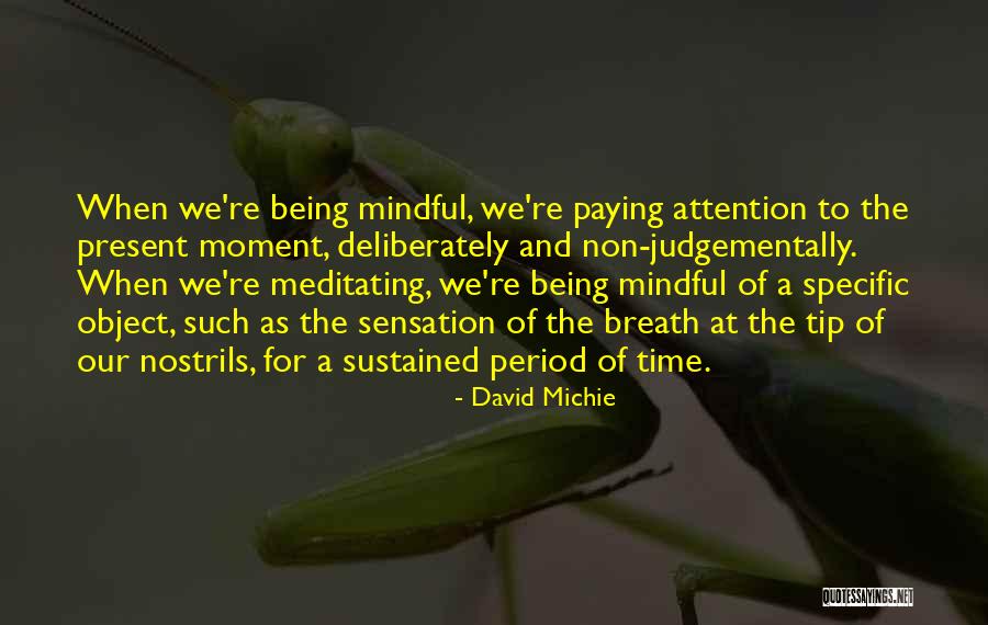 Being Mindful Quotes By David Michie