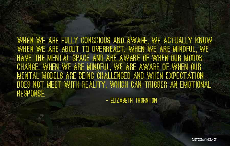 Being Mindful Quotes By Elizabeth Thornton