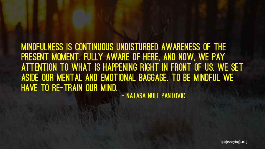 Being Mindful Quotes By Natasa Nuit Pantovic