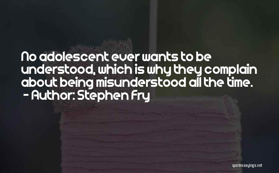 Being Misunderstood Quotes By Stephen Fry