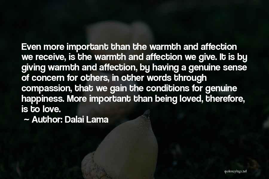 Being More Important Than Others Quotes By Dalai Lama