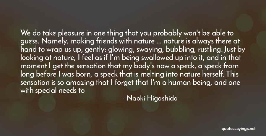 Being More Than Just Friends Quotes By Naoki Higashida