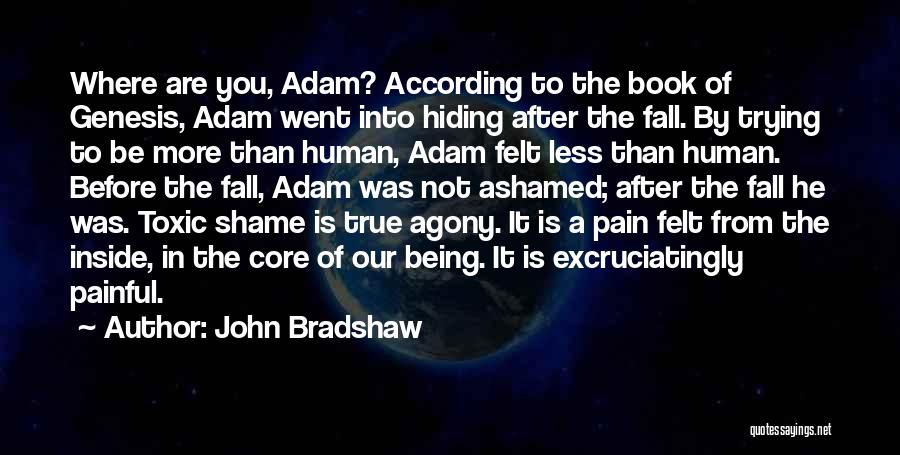 Being More Than You Are Quotes By John Bradshaw