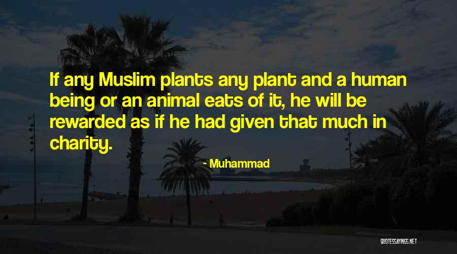 Being Muslim Quotes By Muhammad Being Muslim Quotes By Muhammad