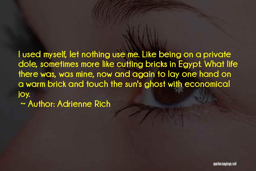 Being Myself Again Quotes By Adrienne Rich