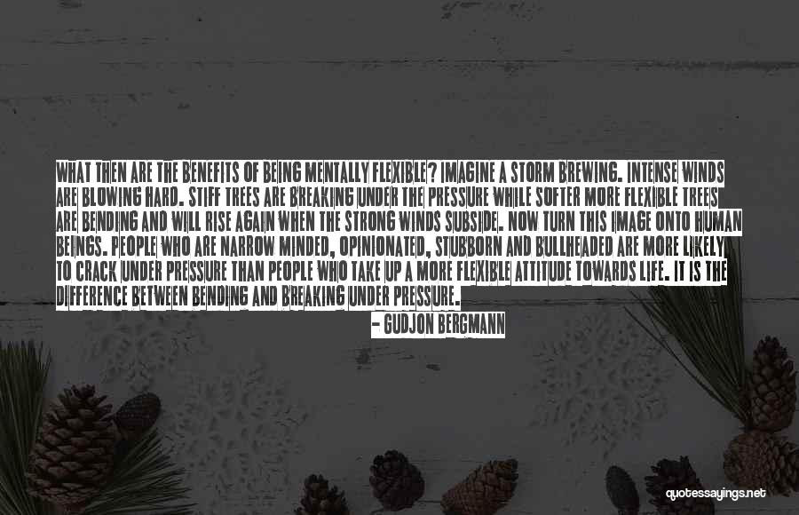 Being Narrow Minded Quotes By Gudjon Bergmann Being Narrow Minded Quotes By Gudjon Bergmann