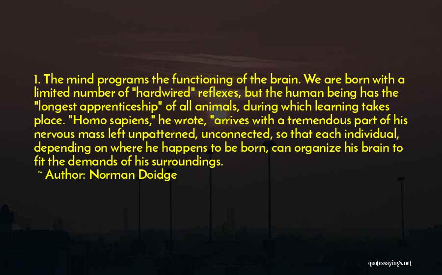 Being Nervous Quotes By Norman Doidge
